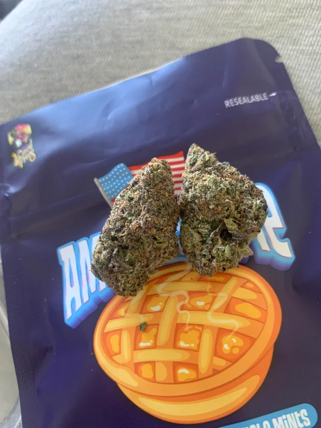 american pie strain sativa or indica