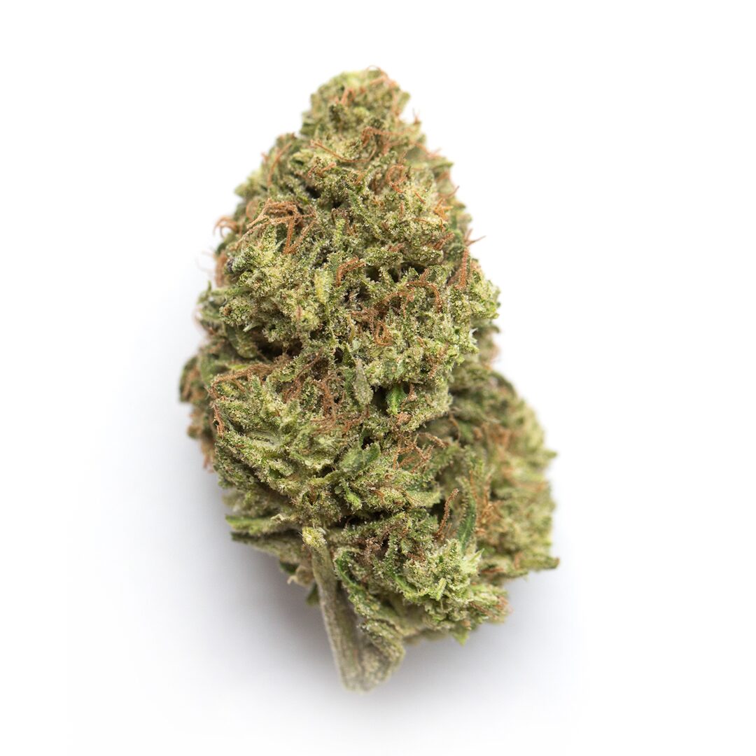 american pie strain sativa or indica